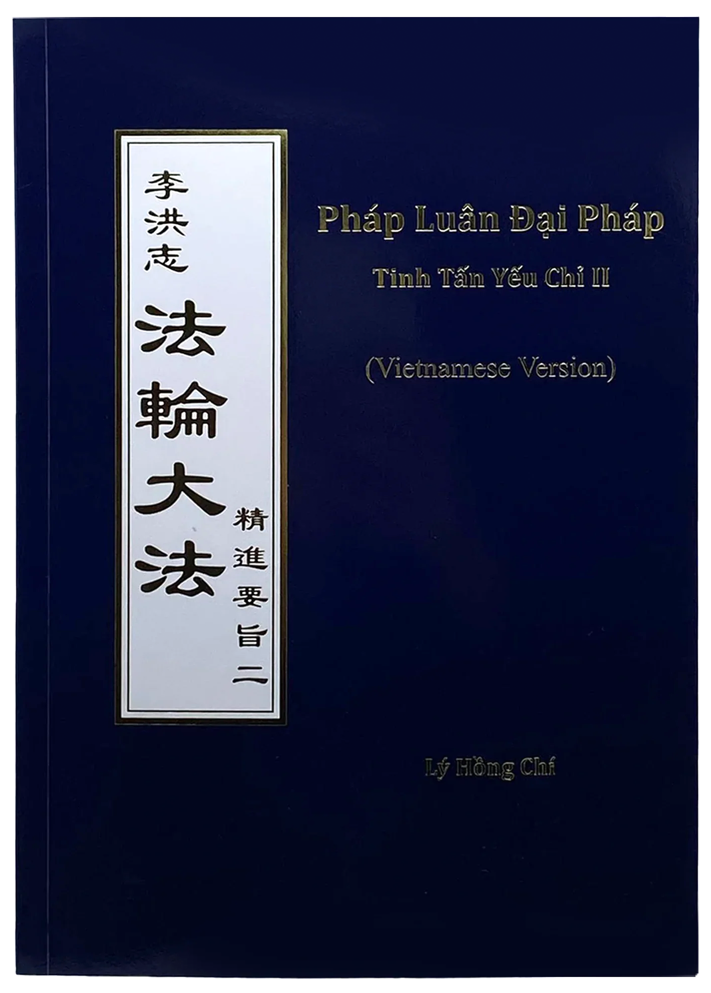 The Essentials of Diligent Progress II - Vietnamese Version