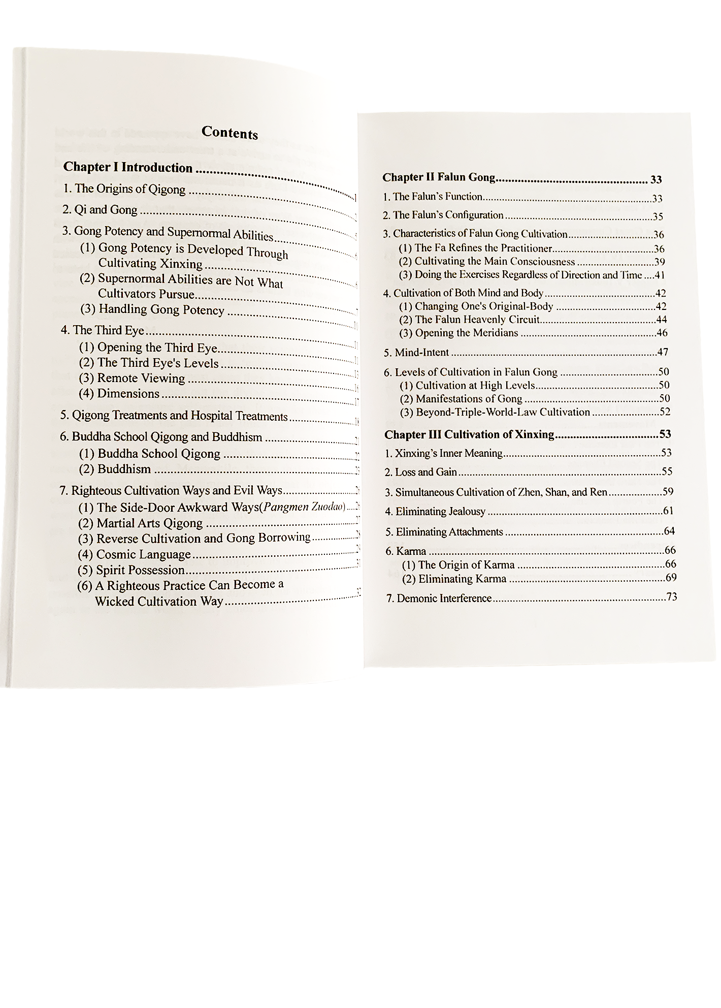Falun Gong - (English Revised Edition) Paperback