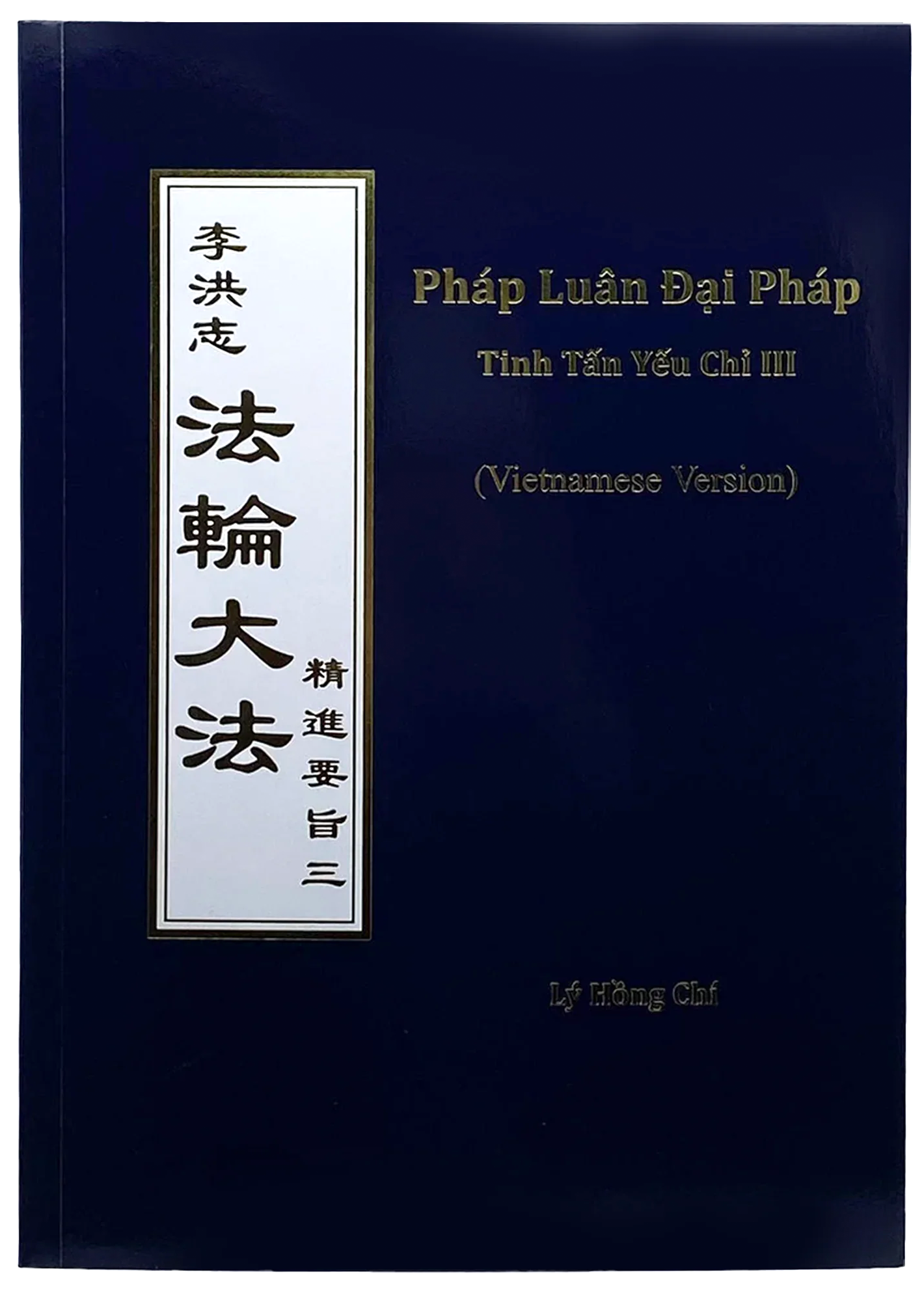 The Essentials of Diligent Progress III - Vietnamese Version