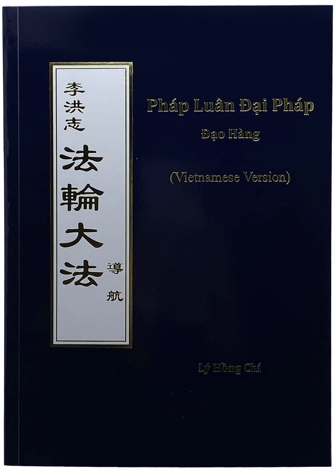 Guiding the Voyage - Vietnamese Version