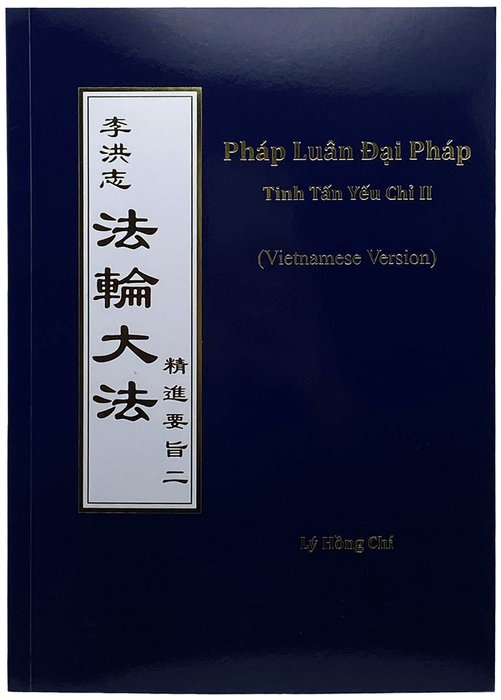 The Essentials of Diligent Progress II - Vietnamese Version