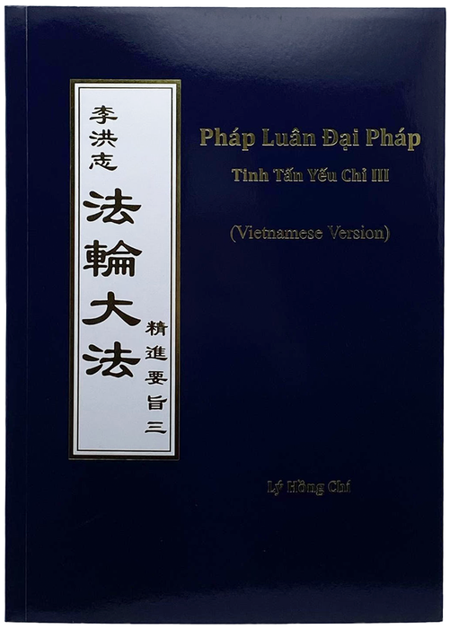 The Essentials of Diligent Progress III - Vietnamese Version