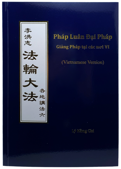 Collected Teachings Given Around the World Volume VI - Vietnamese Version