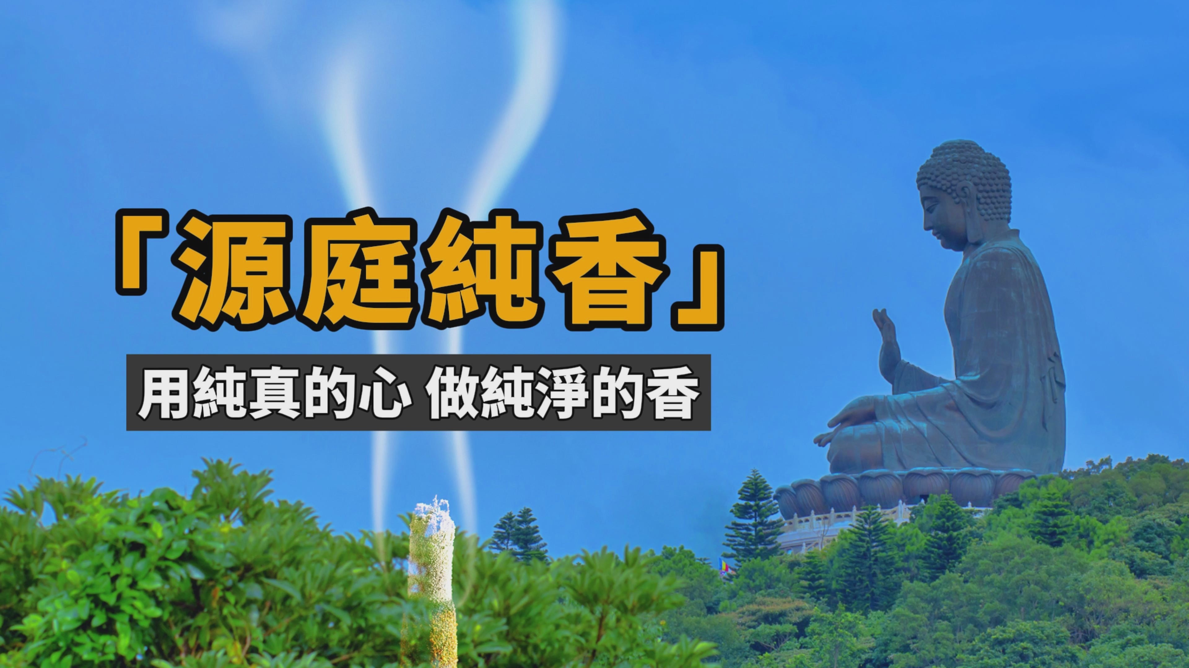 源庭純香 - 短（12“）