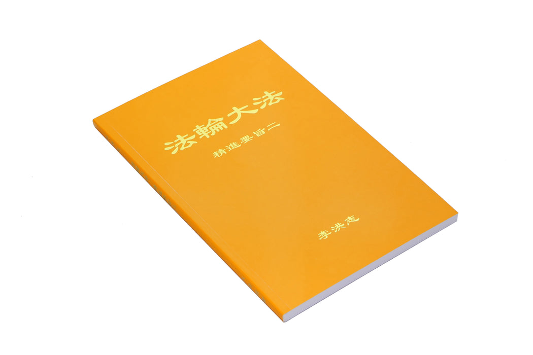 The Essentials of Diligent Progress II - Simplified Chinese