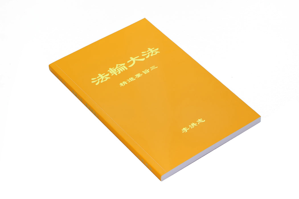 The Essentials of Diligent Progress III - Chinese Simplied Version